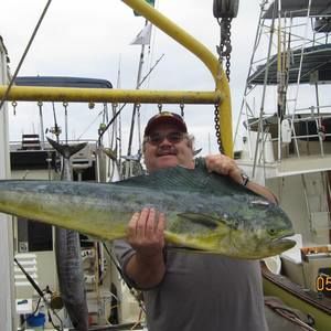 Meet your Posher, Bill